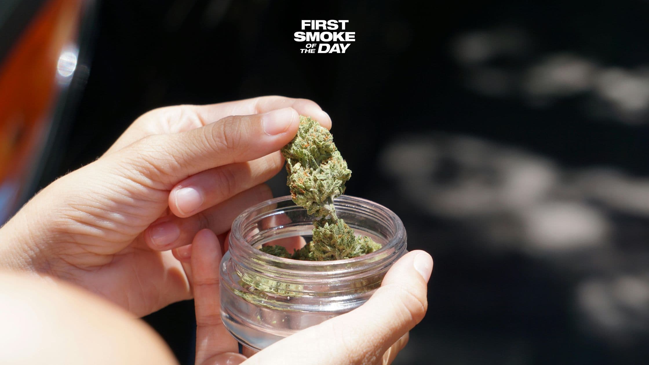 Teen Cannabis Use Just Hit an All-Time Low, Even as More States Legalize