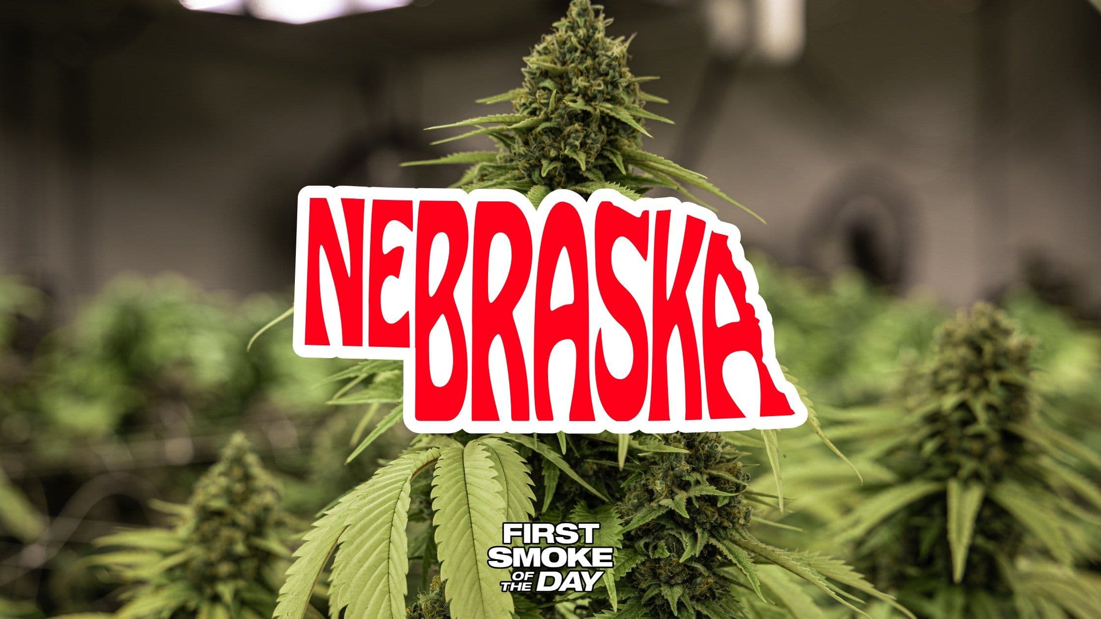 Nebraska Sets a Steep Price Tag on Medical Cannabis Licenses