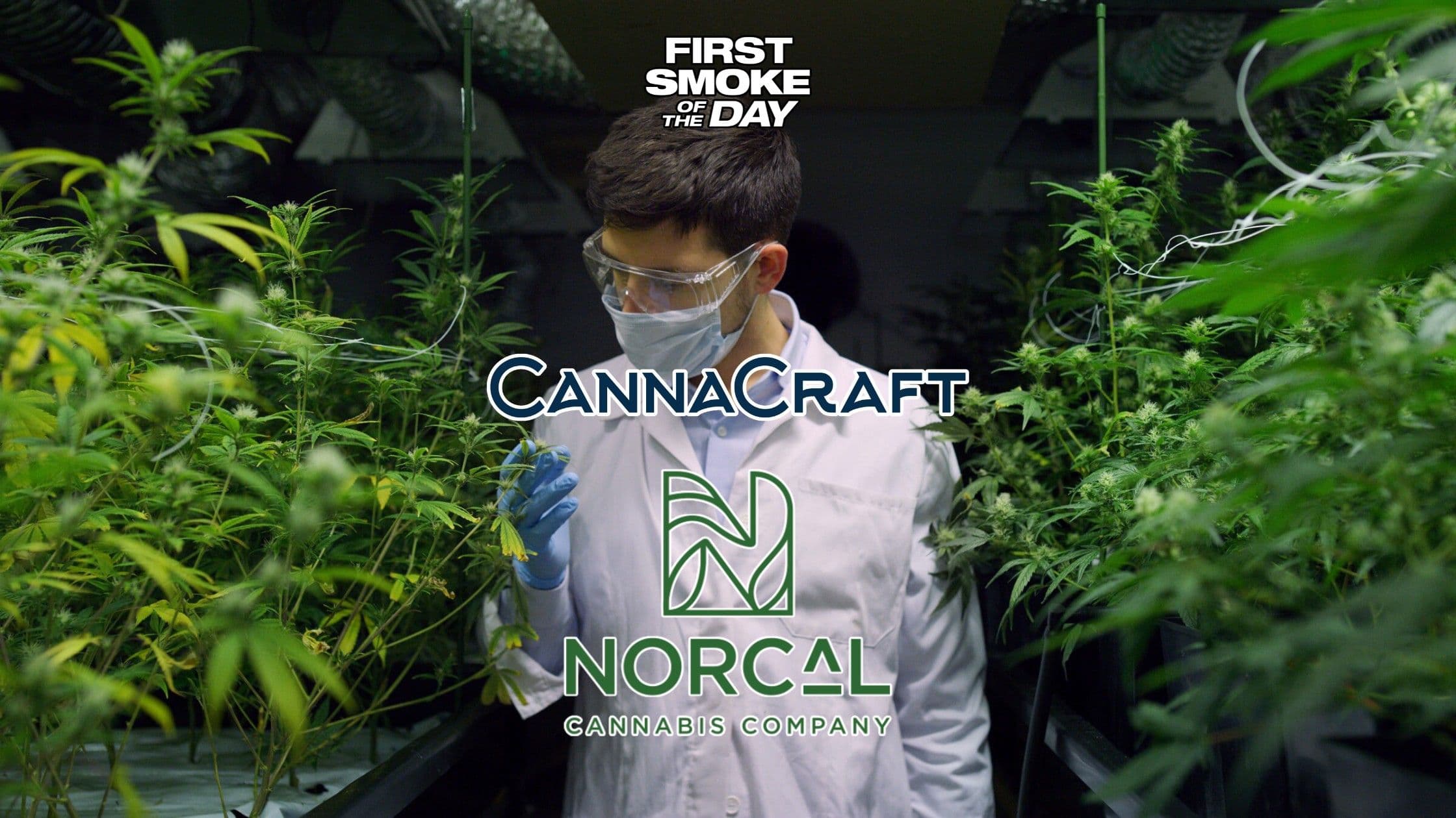 More Than 100 Jobs Cut as Two California Cannabis Manufacturers Downsize
