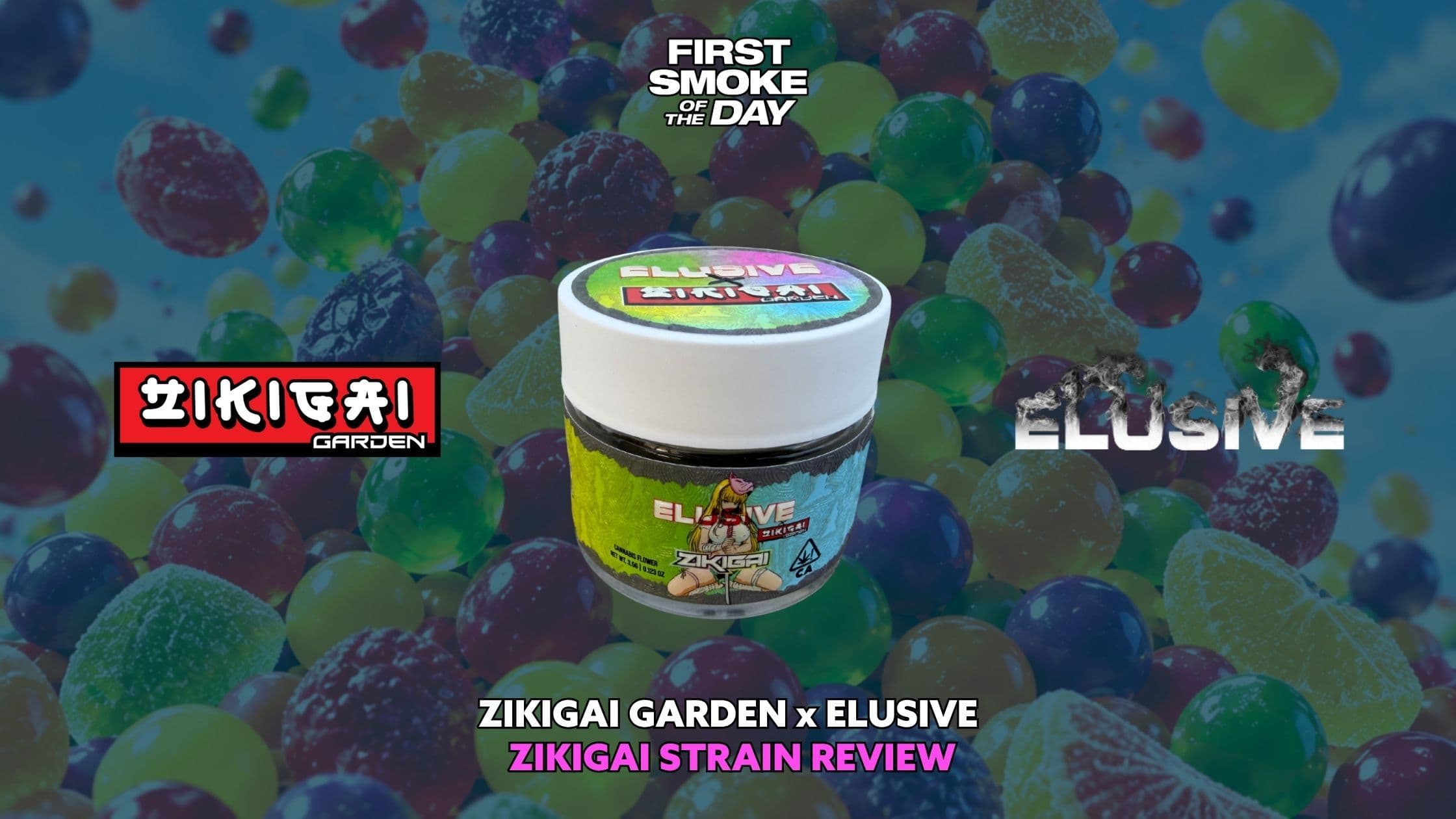 Zikigai Strain Review Ft. Elusive x Zikigai Garden